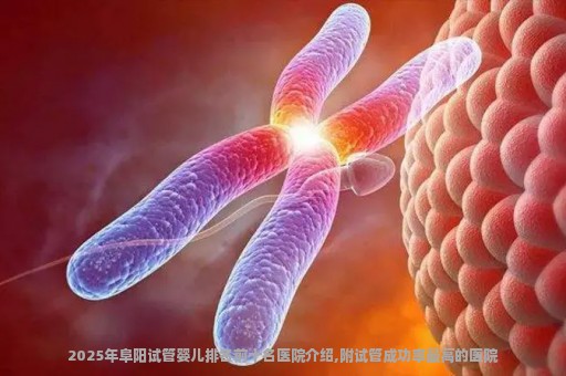 2025年阜阳试管婴儿排名前十名医院介绍,附试管成功率最高的医院