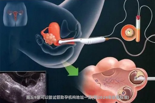 商丘9家可以做试管助孕机构地址一览(附2024年收费标准)