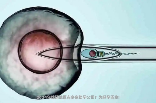 2024年绵阳地区有多家助孕公司？为好孕而生!