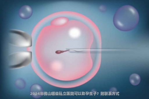 2024年佛山哪些私立医院可以助孕生子？附联系方式
