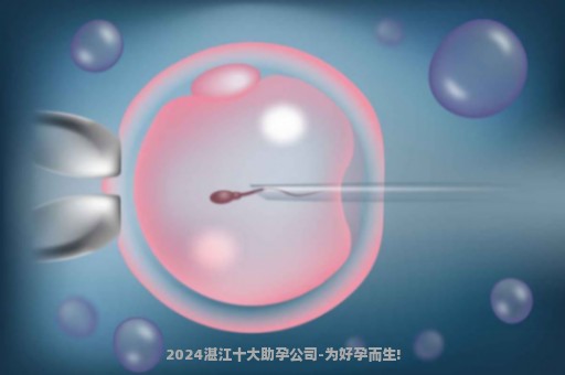2024湛江十大助孕公司-为好孕而生!