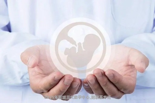 2025年聊城三大助孕中心,附联系方式