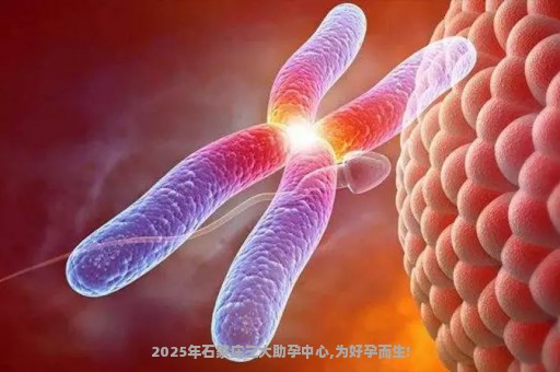 2025年石家庄三大助孕中心,为好孕而生!