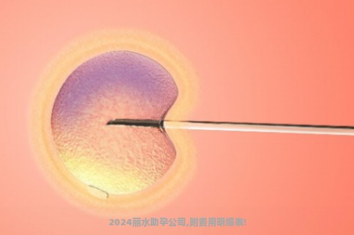 2024丽水助孕公司,附费用明细表!