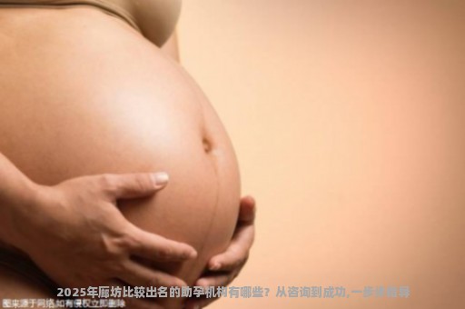 2025年廊坊比较出名的助孕机构有哪些？从咨询到成功,一步步指导