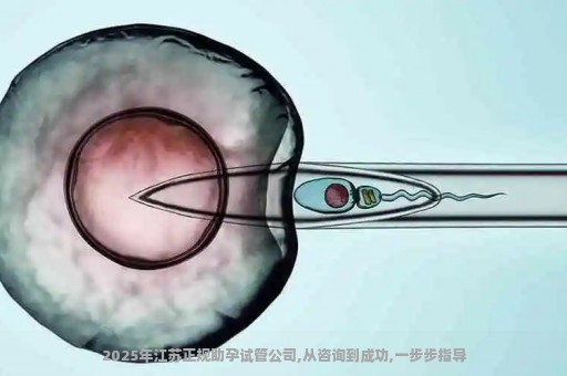 2025年江苏正规助孕试管公司,从咨询到成功,一步步指导