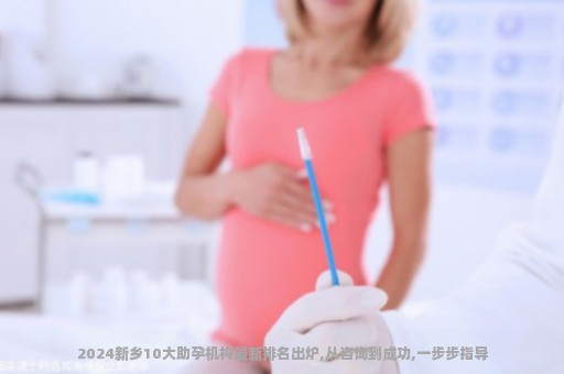2024新乡10大助孕机构最新排名出炉,从咨询到成功,一步步指导