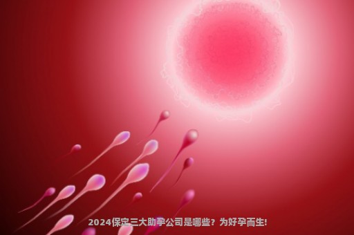 2024保定三大助孕公司是哪些？为好孕而生!