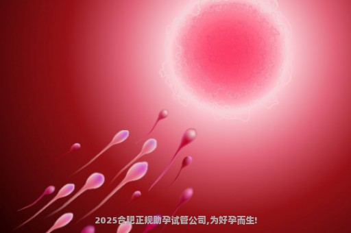 2025合肥正规助孕试管公司,为好孕而生!