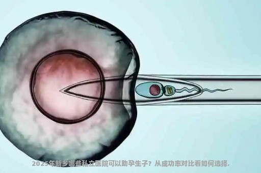 2025年新乡哪些私立医院可以助孕生子？从成功率对比看如何选择.