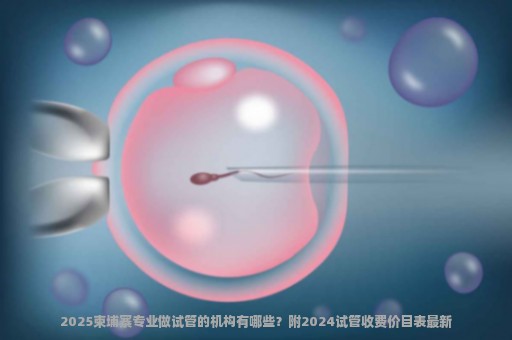 2025柬埔寨专业做试管的机构有哪些？附2024试管收费价目表最新