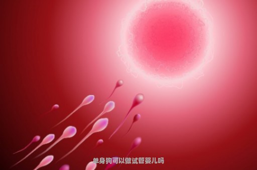 单身狗可以做试管婴儿吗