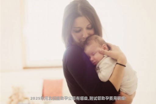 2025年河北权威助孕公司有哪些,附试管助孕费用明细!