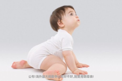 公布!海外最大的助孕公司好不好,附费用明细表!