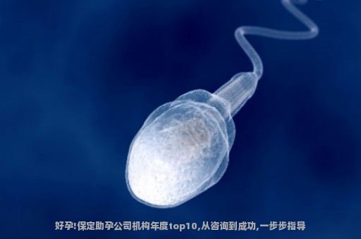 好孕!保定助孕公司机构年度top10,从咨询到成功,一步步指导