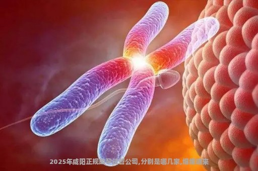 2025年咸阳正规助孕试管公司,分别是哪几家,细细道来