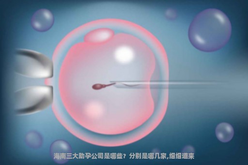 海南三大助孕公司是哪些？分别是哪几家,细细道来