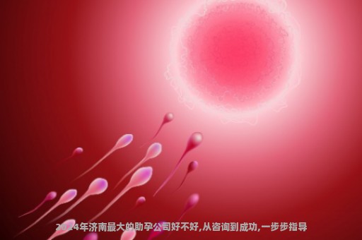 2024年济南最大的助孕公司好不好,从咨询到成功,一步步指导