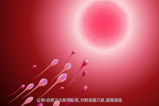 公布!合肥三大助孕公司,分别是哪几家,细细道来