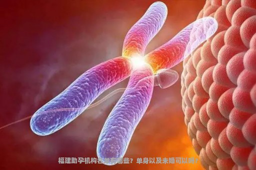 福建助孕机构名单有哪些？单身以及未婚可以吗？
