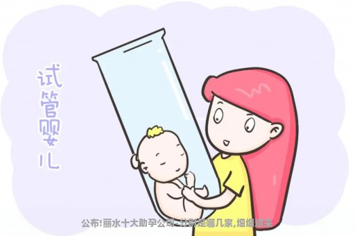 公布!丽水十大助孕公司-分别是哪几家,细细道来