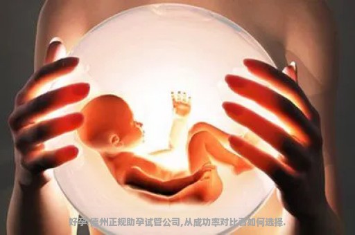 好孕!德州正规助孕试管公司,从成功率对比看如何选择.