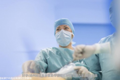 好孕!扬州地区有多家助孕公司？分别是哪几家,细细道来