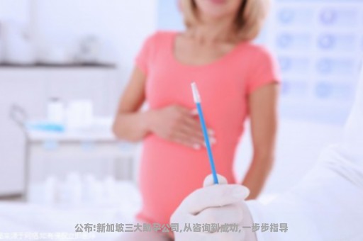 公布!新加坡三大助孕公司,从咨询到成功,一步步指导