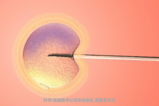 好孕!盐城助孕公司有效排名,附联系方式