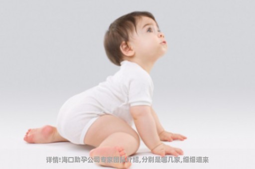 详情!海口助孕公司专家团队介绍,分别是哪几家,细细道来