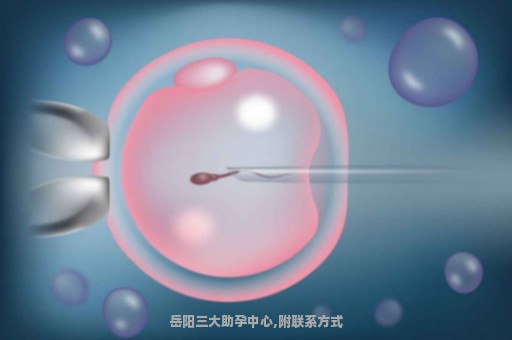 岳阳三大助孕中心,附联系方式