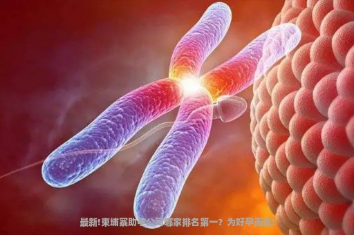 最新!柬埔寨助孕公司哪家排名第一？为好孕而生!