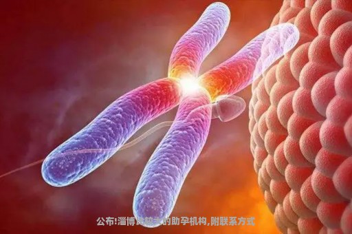 公布!淄博比较大的助孕机构,附联系方式