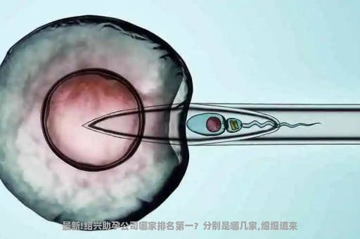 最新!绍兴助孕公司哪家排名第一？分别是哪几家,细细道来