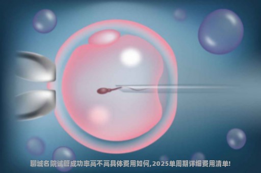 聊城名院试管成功率高不高具体费用如何,2025单周期详细费用清单!