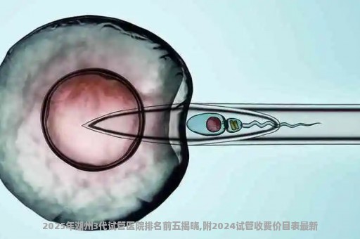 2025年湖州3代试管医院排名前五揭晓,附2024试管收费价目表最新