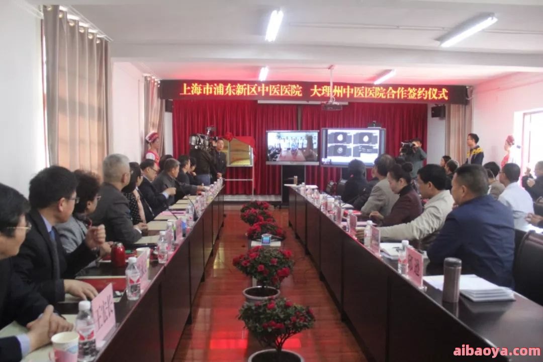 上海市浦东新区中医医院简介_地址