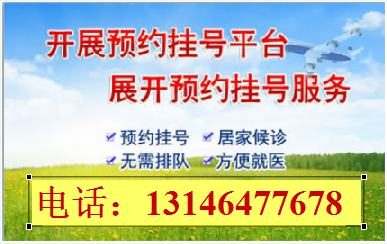肇东市医院医生预约挂号_出诊时间