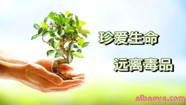 保定市中医院医生预约挂号_出诊时间