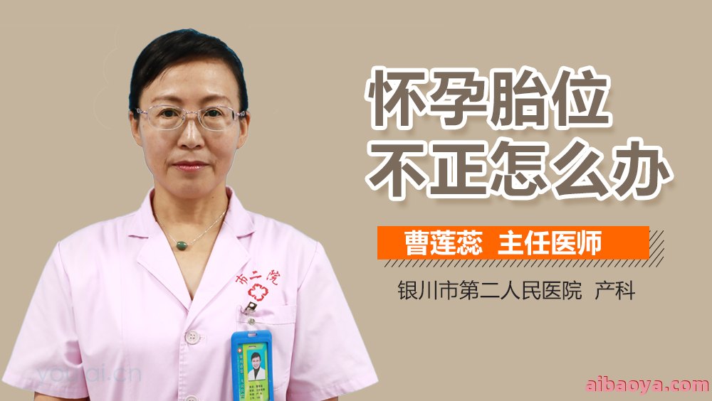 厦门市第二医院医生预约挂号_出诊时间