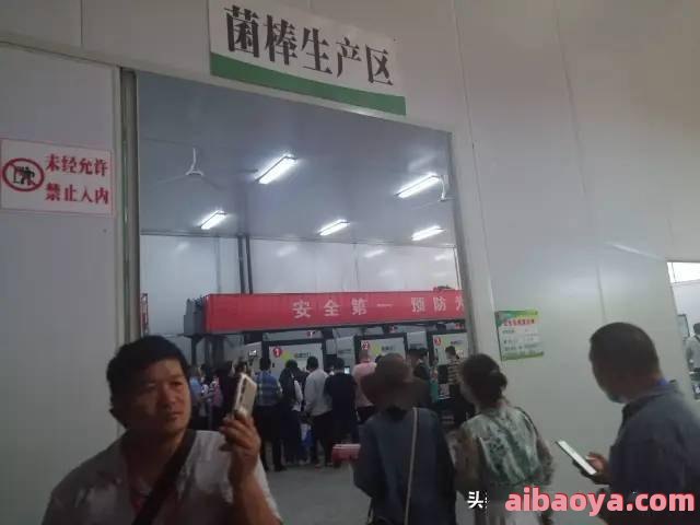 宜阳县中医院官网是什么_简介_专家挂号