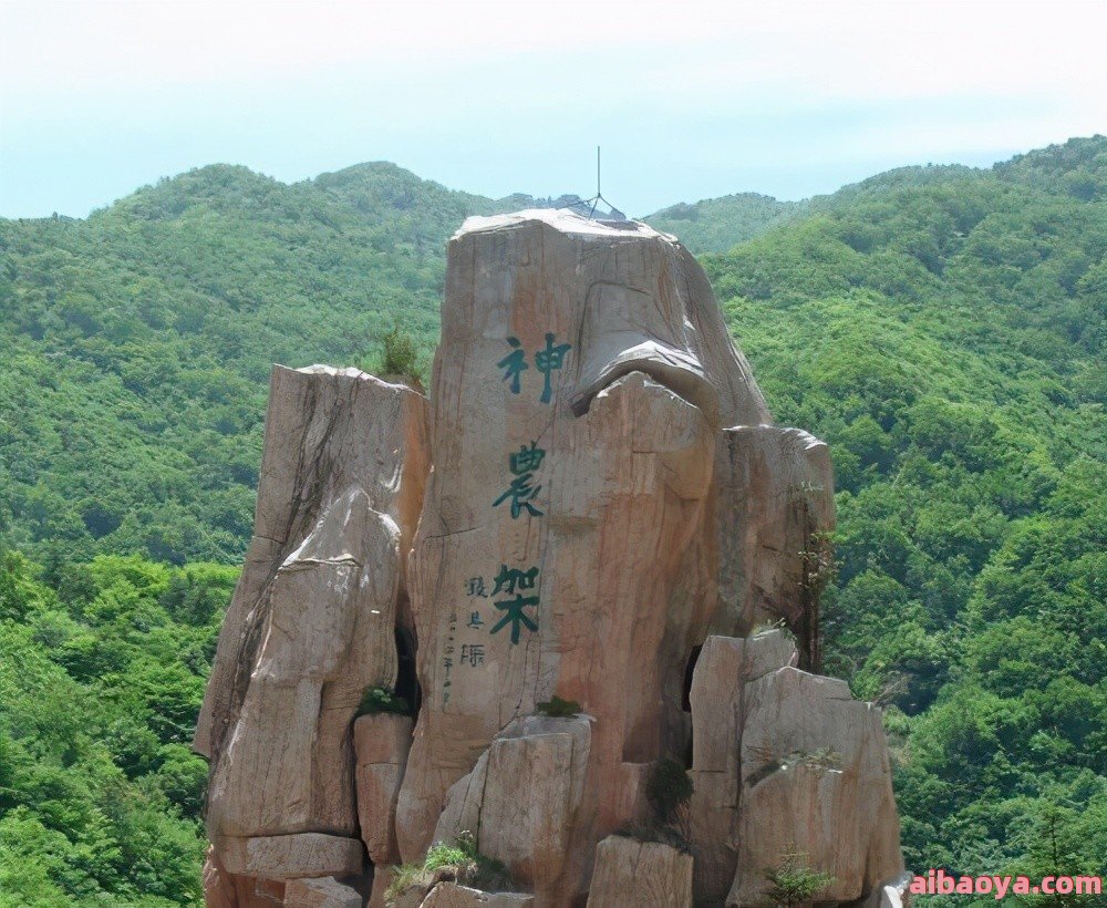 太和神农架分院官网是什么_简介_专家挂号