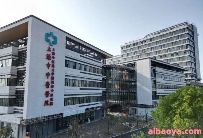 上海市嘉定区南翔医院官网是什么_简介_专家挂号