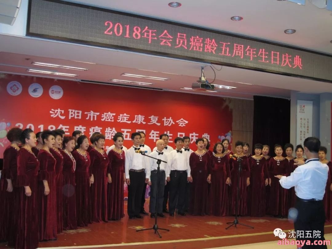 沈阳市第五人民医院官网是什么_简介_专家挂号