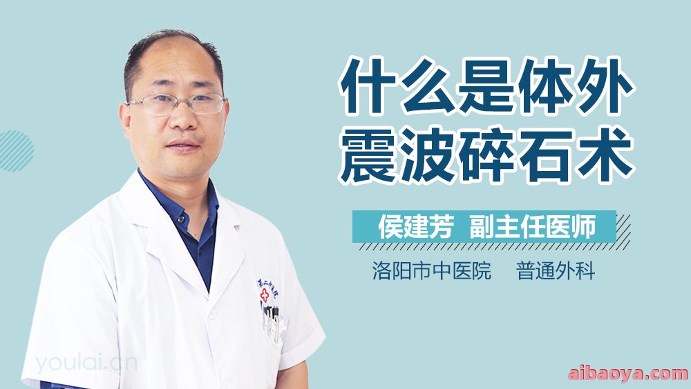 洛阳中医院医生预约挂号_出诊时间