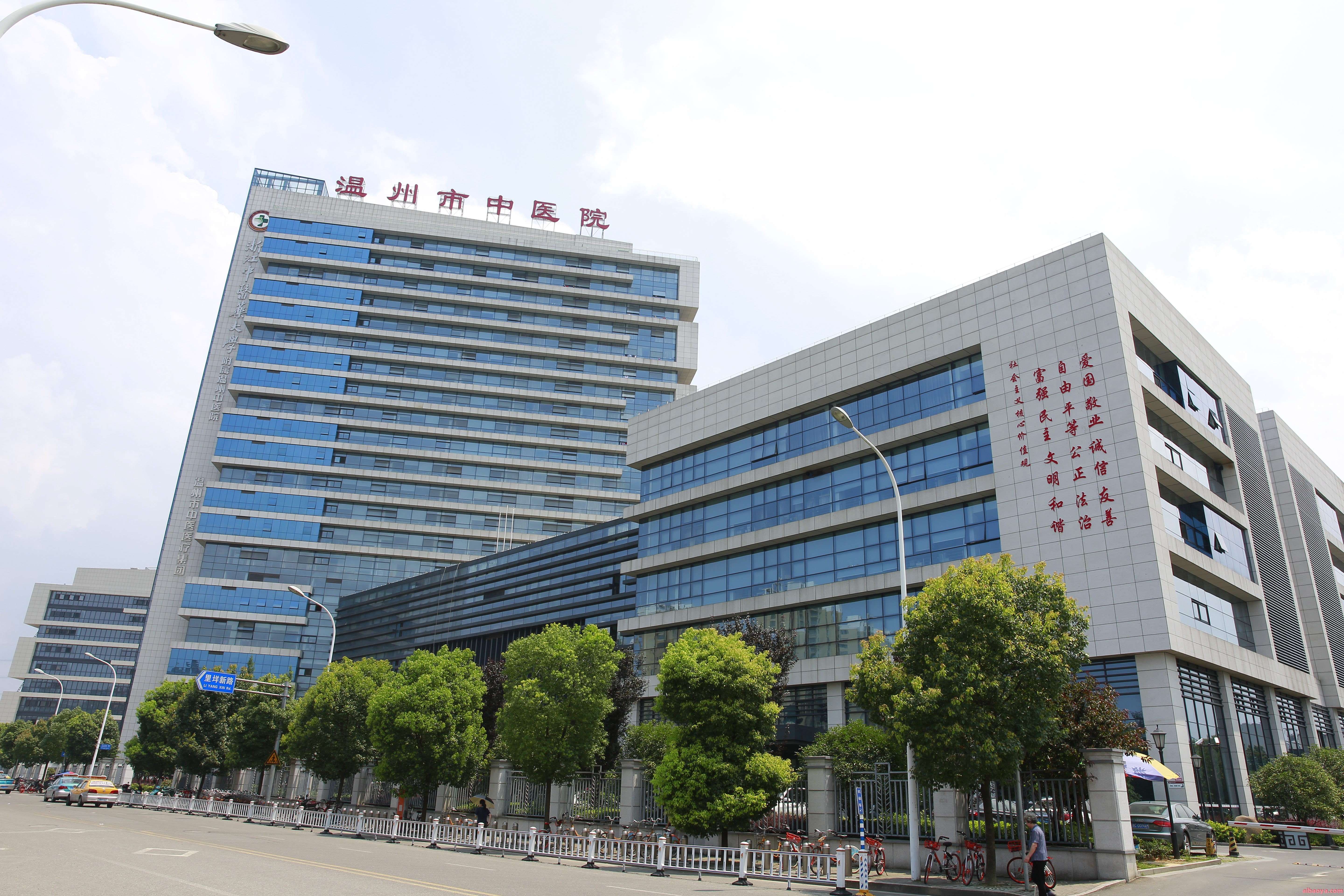 浙江中医药大学附属湖州市中医院官网是什么_简介_专家挂号