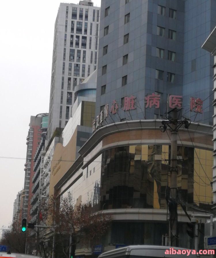 武汉亚洲心脏病医院简介_地址