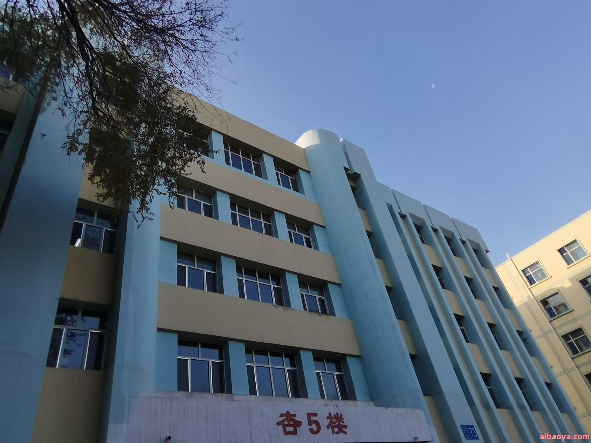 石河子大学医学院附属医院官网是什么_简介_专家挂号