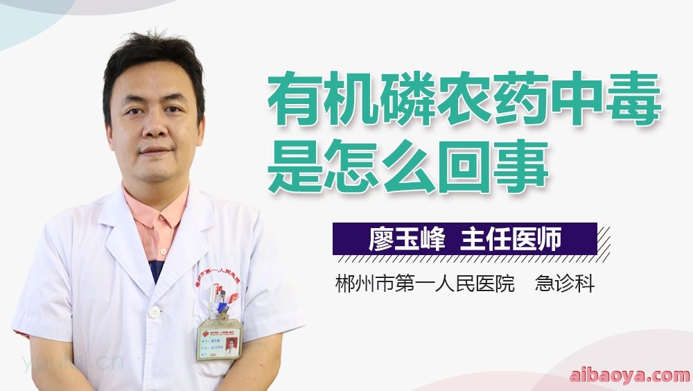 重庆白癜风医院医生预约挂号_出诊时间