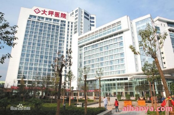 重庆大坪医院医生预约挂号_出诊时间